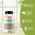 thumbnail image 2 of Healblend Multivitamin Gummies for Adults – Vitamin A, B, C, D, E, Zinc & Biotin – Immune & Energy Support – Vegan, 60 Gummies (3-Pack), 2 of 8