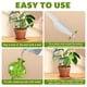 thumbnail image 2 of 4 piezas de globos de riego para plantas, inserto de púas para macetas de riego automático para plantas de interior y exterior, dispositivo de riego automático, 2 of 5