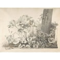 thumbnail image 2 of Christoph Heinrich Kniep 14x11 Gold Ornate Wood Frame and Double Matted Museum Art Print Titled - Burdocks, Campions and Brambles by a Treetrunk on a River Bank (Early 19th Century), 2 of 4