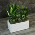 thumbnail image 2 of LeisureMod Bonsai Modern Fiberstone and Clay Planter - Rectangular Weather-Resistant Planter Box with Drainage Holes for Indoor and Outdoor (White), 2 of 13