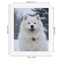 thumbnail image 2 of Paint By Numbers Kit for Adults Beginner - DIY White Dog In Snowy Landscape Canvas Painting Kits for Adults, Frameless Paint By Number for Adults for Home Wall Decor 16x20 Inch, 2 of 7