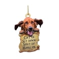 thumbnail image 2 of Fall Decorations Animal Lover Two Sided Ornament,Funny Car Hanging, 2 of 5