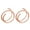 Rose Gold, variant on 1 Pair of Nose Rings Nose Rings Tashi Promotional Sale Double Nose Hoop Ring for Piercing Nose Hoop, Nose Ring Hoop for Women, Spiral Nose Hoop for Girls, Nostril Piercing Jewelry Silver