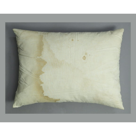 Print: One Of The Blood Stained Pillows That Held Abraham Lincoln's Head