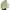 Green, variant on Wyobmus Men's Down Jacket Full Zipper Warm Puffer Jacket Winter Coats Water Resistant Windproof Insulated Jacket Black