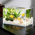 thumbnail image 2 of 20Pcs Diving Pool Toys, Artificial Goldfish 1.77" Realistic Rubber Floating Fish Fish Tank Decor TPR Small Tropical Goldfishesfor Sensory Bin, Bath & Soccer Theme Favors Mixed Color, 2 of 3