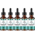 thumbnail image 1 of Tinnitus Relief Drops Echofree Ear Health Support, 1 of 5