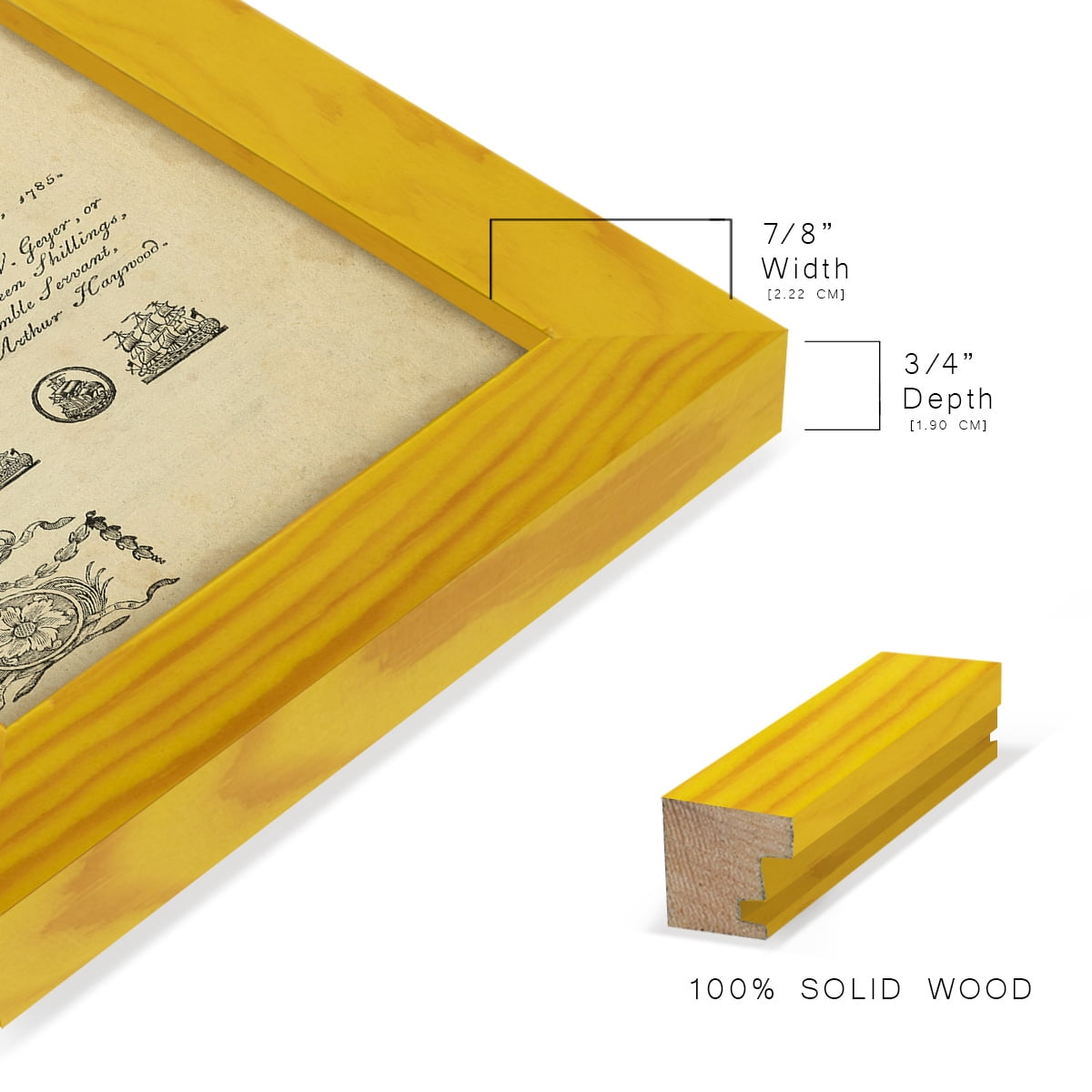 Deckled Encyclopediae V (AS) -Framed Print w/glass-Sunflower Yellow