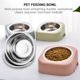 thumbnail image 5 of Homoyoyo 2Ud Bebedero Para Perros Inoxidable Con Base Antideslizante Duradero, 5 of 5