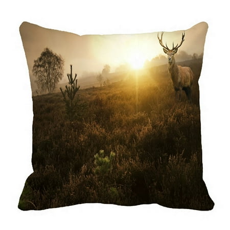 Landscaping In The Fall PHFZK Nature Pillow Case, Beautiful Foggy Misty Forest in Autumn Fall with Deer Stag Landscape Pillowcase Throw Pillow Cushion Cover Two Sides Size 18x18 inches ()