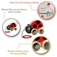thumbnail image 2 of Hape: Pull Along Ladybug - Red & Black, Wooden Toy w/ Moving Wings, Rubber Rimmed Wheels, Push & String Take Along, Baby, Toddler & Kids Ages 1+, 2 of 5