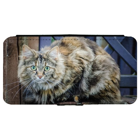 Long Haired Calico Cat Kitten Samsung Galaxy S7 Leather Flip Phone