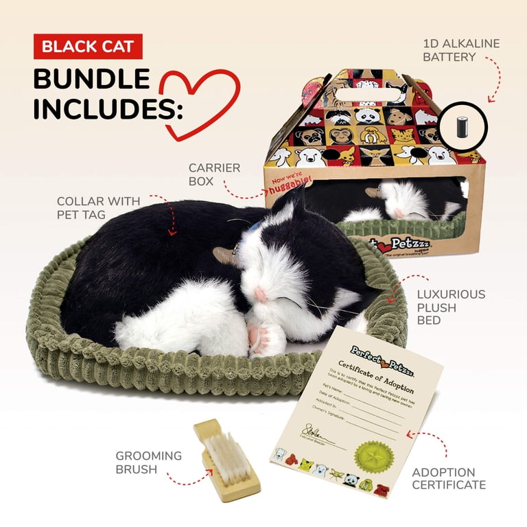 Free Shipping! Perfect Petzzz Black and White Shorthair Kitten