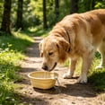 thumbnail image 6 of FEOLGEHLY Slow Feed Travel Dog Bowl Pet Bowl, Non Skid Collapsible Silicone Slow Feeding Food Water Bowl for Small Dogs and Cat Bowls for Indoor Cats Outdoor Portable Pet Dining Supplies, 6 of 6