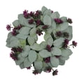 thumbnail image 2 of Guirnalda de hojas de eucalipto, guirnalda redonda de verano, decoración para puerta delantera, adornos Color D, 2 of 4