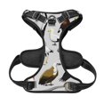 thumbnail image 5 of Lsque Animal Bird Dog Harness, No-Pull Pet Harness with 2 Leash Clips, Adjustable Soft Padded Dog Vest with Easy Control Handle for Large Dogs-X-Large, 5 of 9