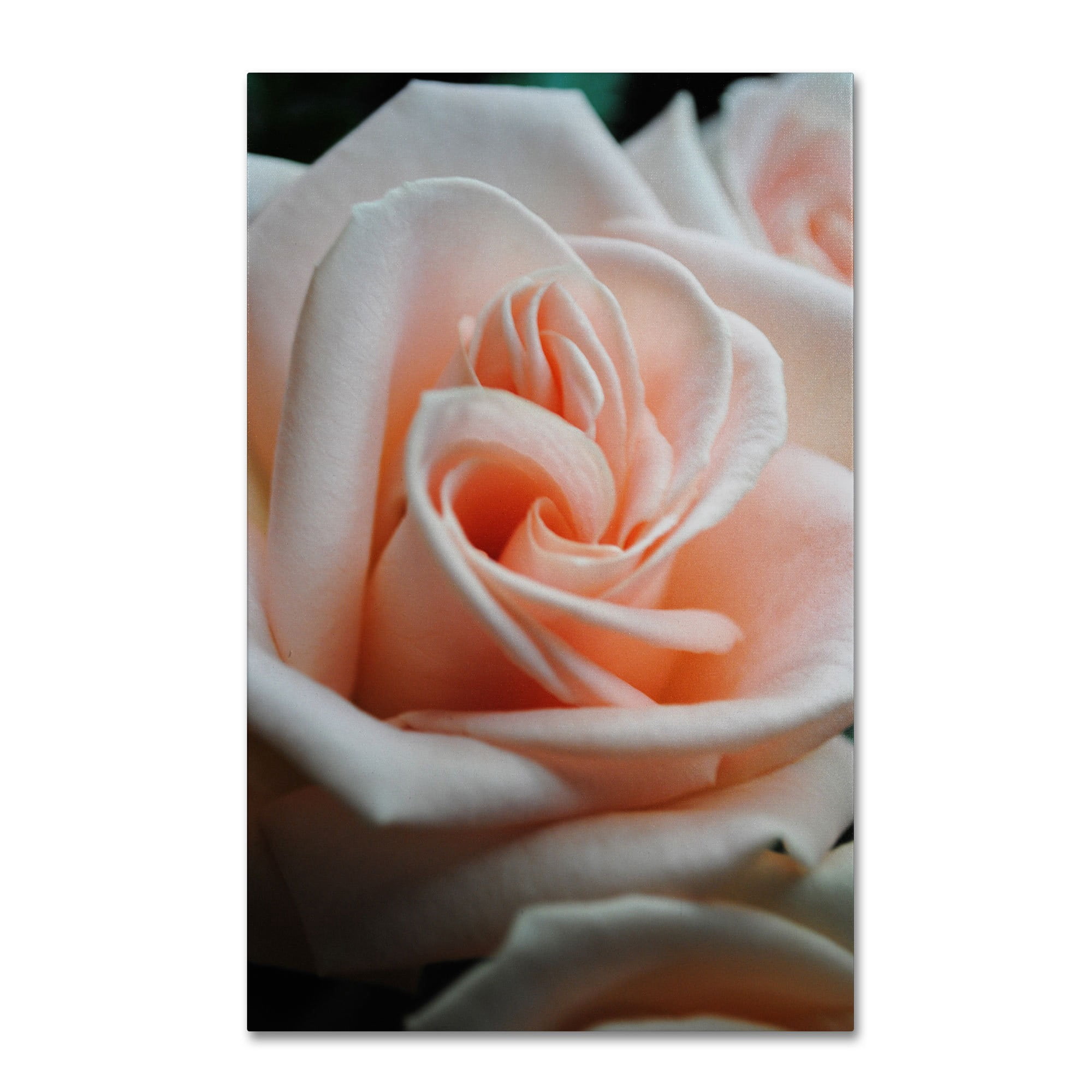 Trademark Fine Art "Leilani" Canvas Art by Monica Fleet