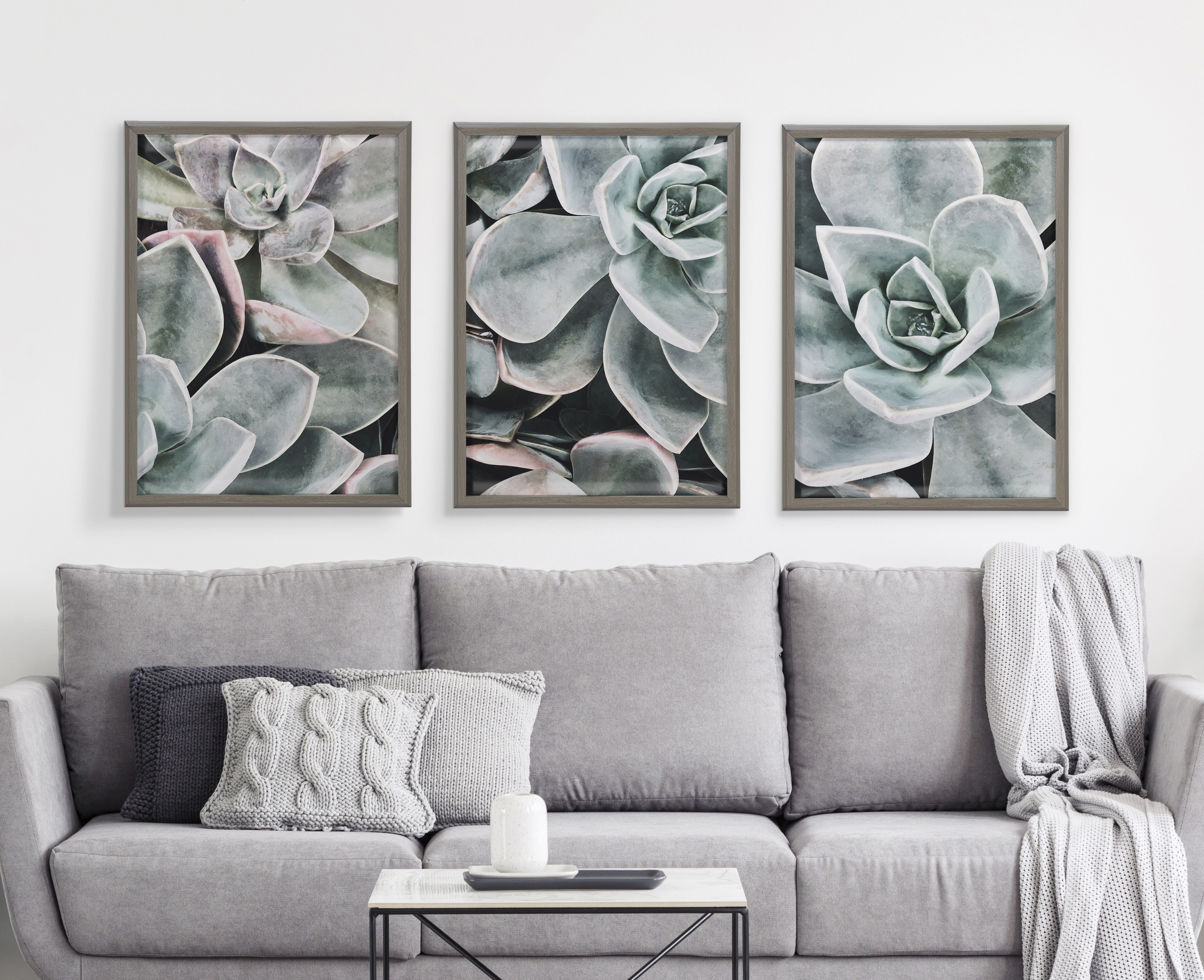 Kate and Laurel Blake Botanical Succulent Plant Framed Printed Glass Wall Art by The Creative Bunch Studio, 18x24 Gray, Succulent Art for Wall