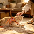 thumbnail image 4 of Breathable Mesh Pet Harness and Leash Set, Adjustable Color Block Vest for Small Medium Cats and Dogs(2#Orange-A), 4 of 6