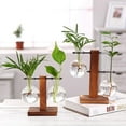 thumbnail image 6 of Gyedtr Glass Planter Bulb Vase, Desktop Plant Terrarium Kit with Retro Solid Wooden Stand for Hydroponics Plants Home Garden Office Wedding Decor, 6 of 9