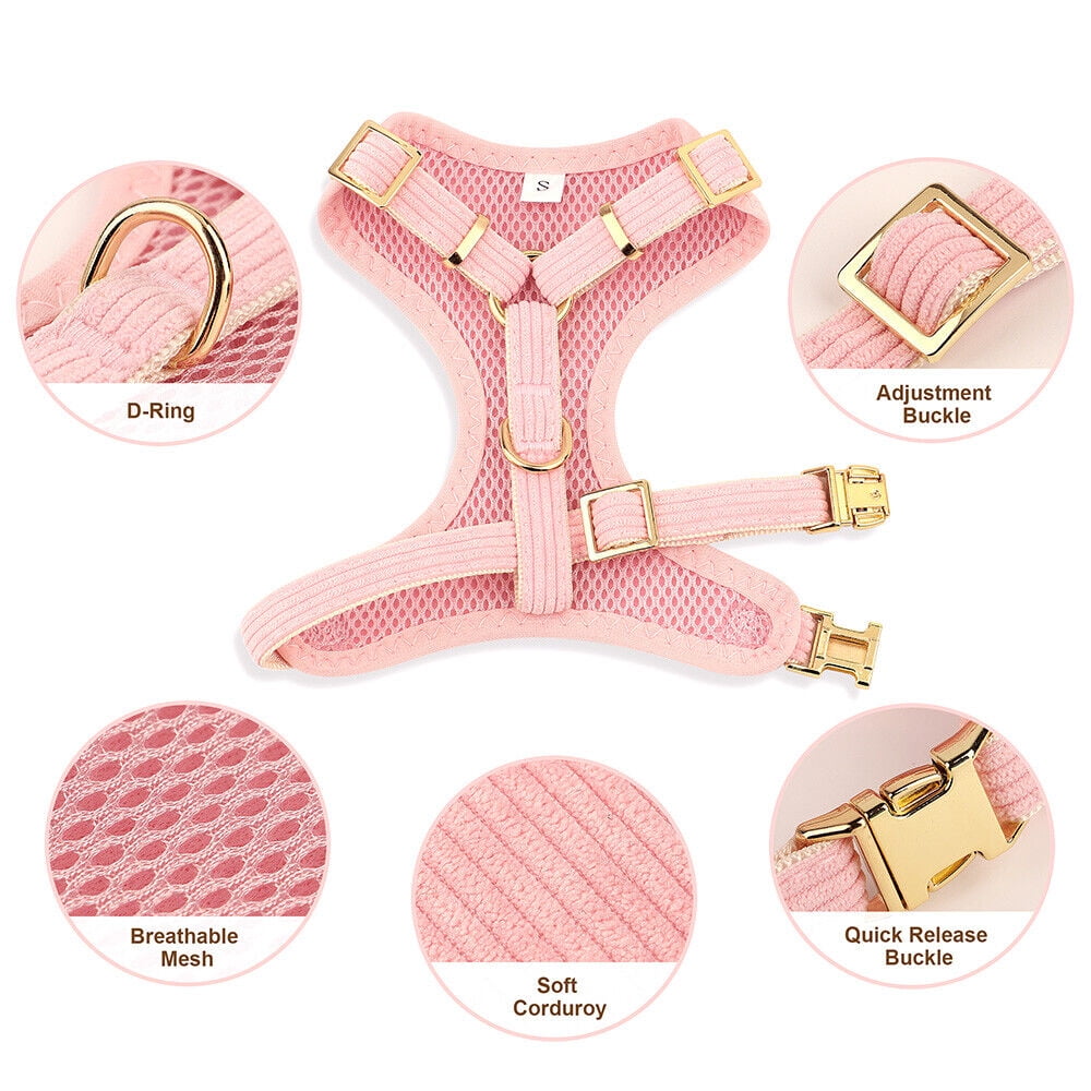 Didog Cute Bowknot Dog Collar and Soft Walking Harness and 5ft Leash set for Extra Small and Small Breeds Shih Tzu Yorkshire