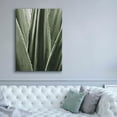 thumbnail image 5 of Epic Graffiti 'Leaf I' by Incado, Giclee Canvas Wall Art, 40"x54", 5 of 8
