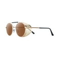 thumbnail image 1 of Gafas de sol BLESIY Steampunk retro metal circur Lente Marrón, 1 of 7