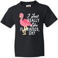 thumbnail image 3 of Inktastic I Just Really Like Flamingos Ok with Pink Flamingo Youth T-Shirt, 3 of 5