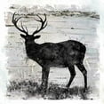 thumbnail image 2 of Robinson, Carol 26x26 White Modern Wood Framed Museum Art Print Titled - Birchbark Deer, 2 of 4