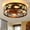 black 3, variant on Farmhouse Modern Caged Ceiling Fan with Lights Remote Control - Low Profile Flush Mount, 6 Speeds, Black