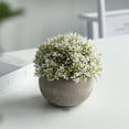 thumbnail image 1 of Mini Artificial Flower Arrangement In Ceramic Pot, High Simulation Plastic Green Purple White, 4.7 Inch Tabletop Decor For Living Room Desk Window, No Water Required, Small Gift, Shelf Accent, 1 of 6