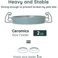 thumbnail image 4 of Slow Feeder Ceramic Bowl Slow Down Eating for Small Medium Breed Pet Slow Feeder for Fun,Anti-Choking Dishes Pet Food Bowl(Dark Green), 4 of 4