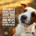 thumbnail image 4 of Acondicionador para mascotas South Bark's Blueberry-Clove 355 ml para perros, 4 of 5