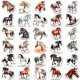 thumbnail image 4 of Pegatinas de vinilo, 60 unidades por lote, animales, caballos, impermeables, anime, 4 of 4