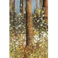 thumbnail image 2 of Jensen, Asia 13x18 White Modern Wood Framed Museum Art Print Titled - Field of Flowers II - mini, 2 of 4