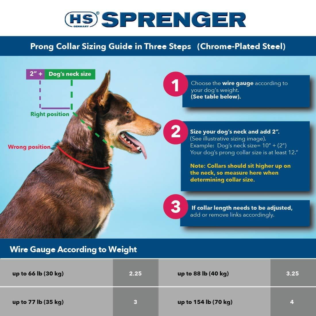 German prong dog collar sales