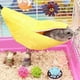 thumbnail image 5 of Cama de plátano para hámster, hamaca para casa de hámster, cama para animales pequeños, jaula para casa, nido, accesorios para hámster, planeador de azúcar, hámster, animales pequeños, 5 of 5
