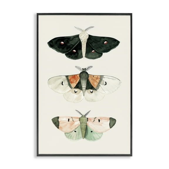 Stupell Industries Assorted Moth Trio Animals Painting Black Framed Art Print Wall Art, 12 x 18