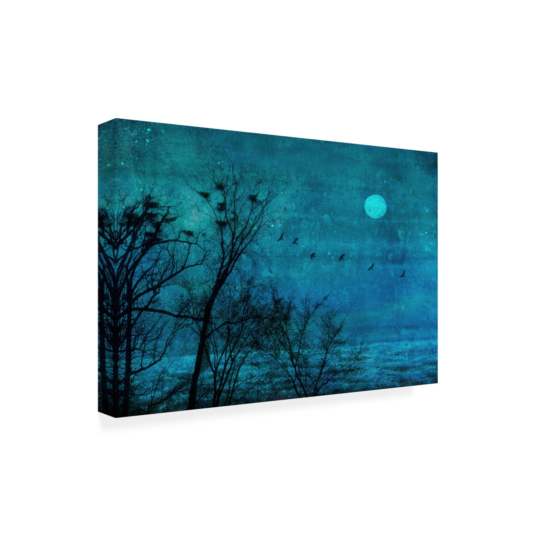 Canvas Wall Art - Nel Talen 'Birds Of Passage' Wall Art for Living Room, Bedroom, or Office Décor by Trademark Fine Art - 47 x 30 Inches