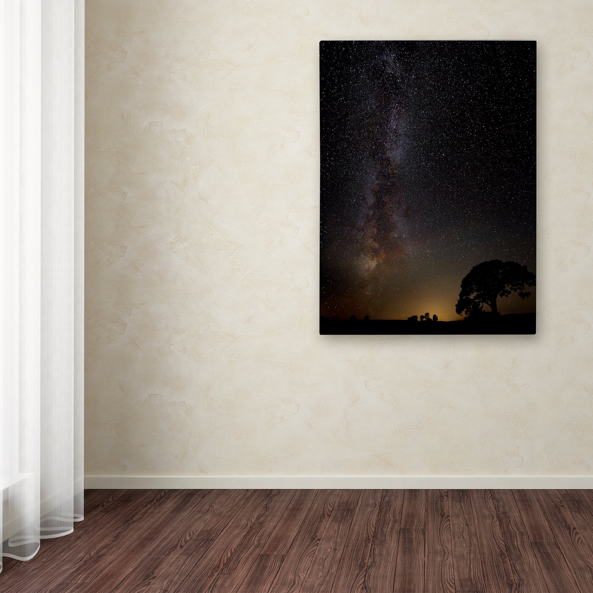 Trademark Fine Art 'Milkyway' Canvas Art by Kaspars Kurcens