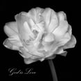 thumbnail image 2 of Poinski, Dianne 26x26 Black Ornate Wood Framed with Double Matting Museum Art Print Titled - God is Love, 2 of 4