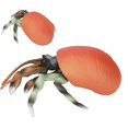 thumbnail image 1 of Fugacal Simulation Hermit Crab Model Lifelike Sea Life Animals Figurines For Collection Science Educational,Hermit Crab Model Toy,Simulated Hermit Crab Model, 1 of 8