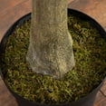 thumbnail image 5 of Nearly Natural Artificial Potted Eucalyptus Tree - 13' - Green, 5 of 7