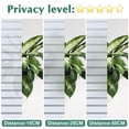 thumbnail image 3 of Window Privacy Film Frosted Glass Window Film Window, No Glue Static Cling Window Stickers Removable for Home Office Kitchen, 40 x 200cm, 3 of 5