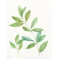 thumbnail image 3 of Nan 12x14 Black Modern Framed Museum Art Print Titled - Spring Greens II, 3 of 5