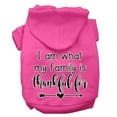 thumbnail image 4 of Thanksgiving Pet, Dog and Cat Hoodie Screen Printed, "I Am What My Family Is Thankful For", 4 of 10