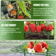 thumbnail image 4 of Strawberry Plant Stand 3Pcs Plastic Strawberry Supports Sturdy Strawberry Support Frame Stable Strawberry Growing Rack for Home Balcony Courtyard Garden Potted Plant, 4 of 7
