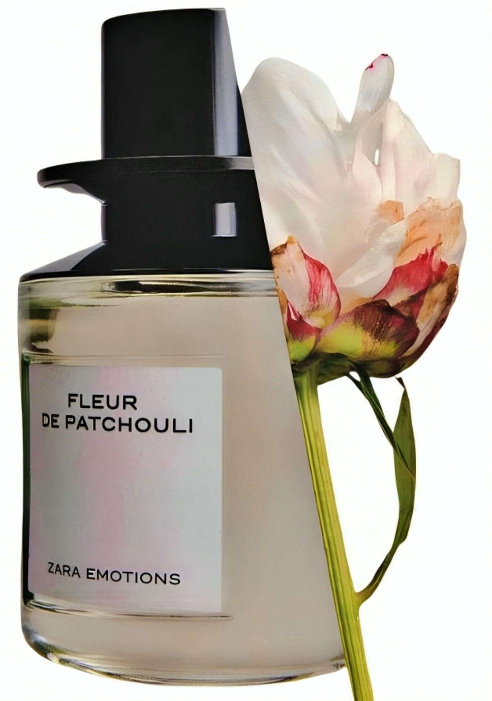 Zara Emotions Fleur De Patchouli Perfume and Fragrance for Unisex with Bergamot and Musk Eau de Parfum by Jo Malone 100ml (3.4 fl. oz)