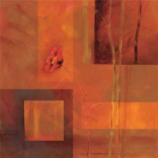 Goa Poppy I Canvas Art - Paul Brent (24 x 24)
