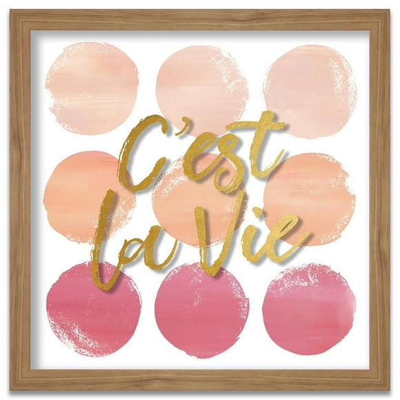 Artissimo Designs C'est La Vie Shadowbox - 14 W x 14 H x 1.18D